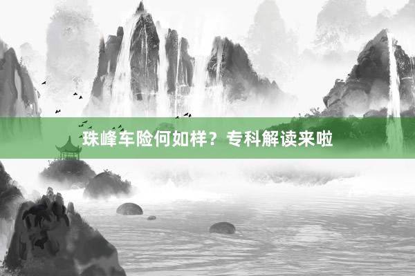 珠峰车险何如样？专科解读来啦
